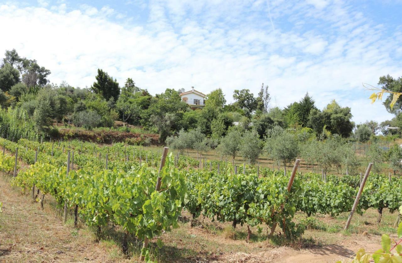 Quinta De S. Luis - Valada Villa Figueiro Dos Vinhos Exterior foto